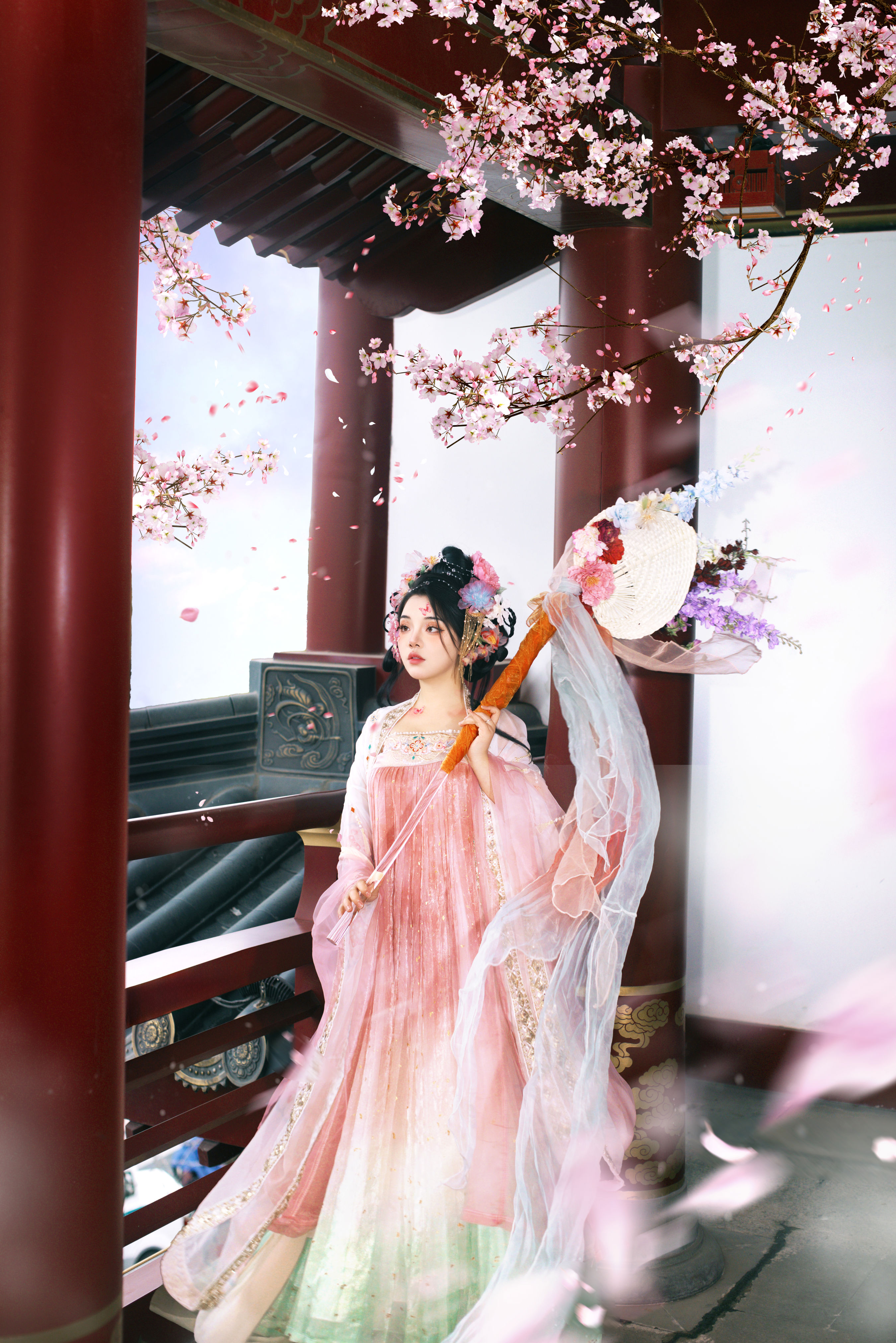 春日樱花