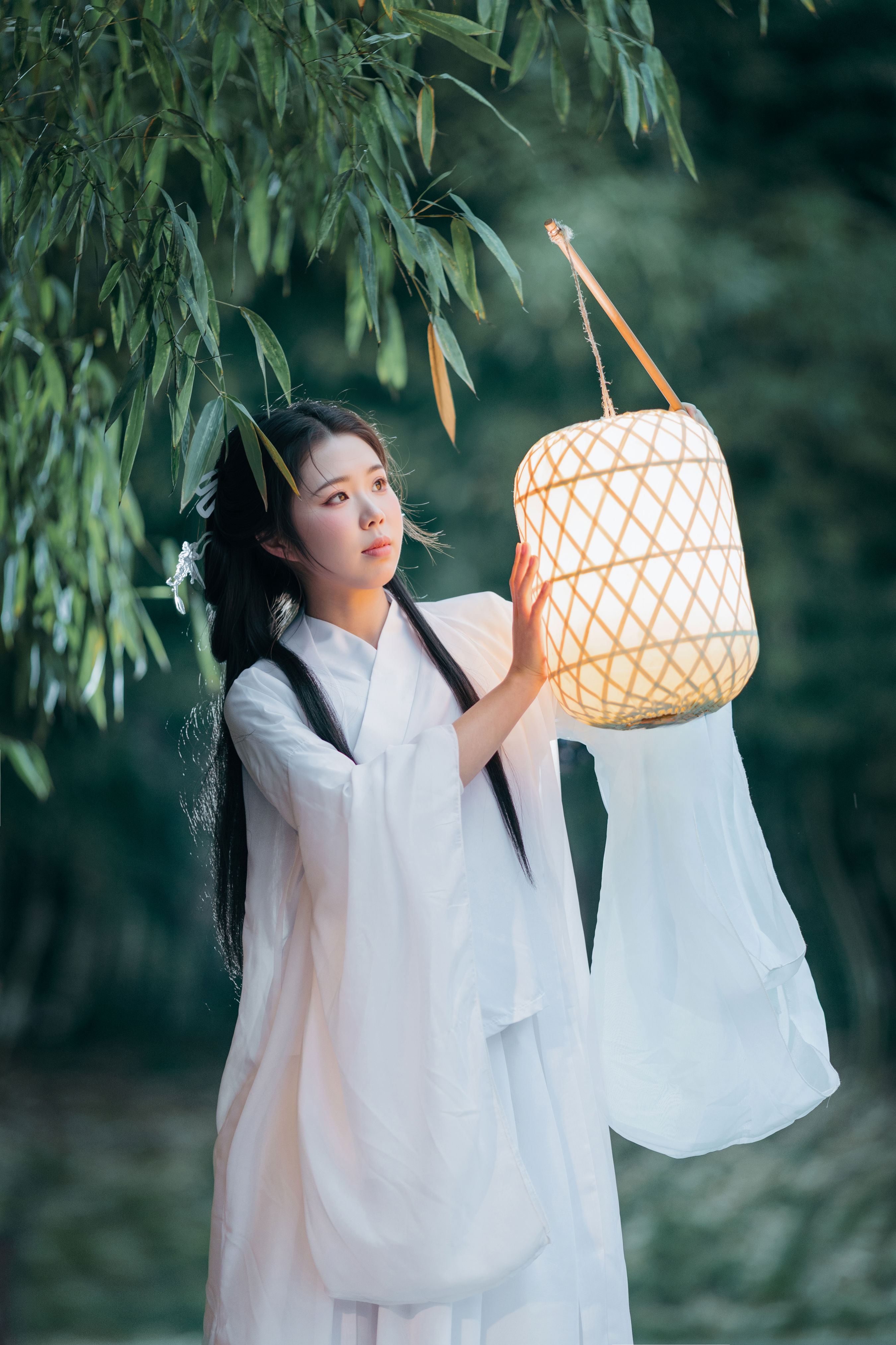 竹林夜影清冷风