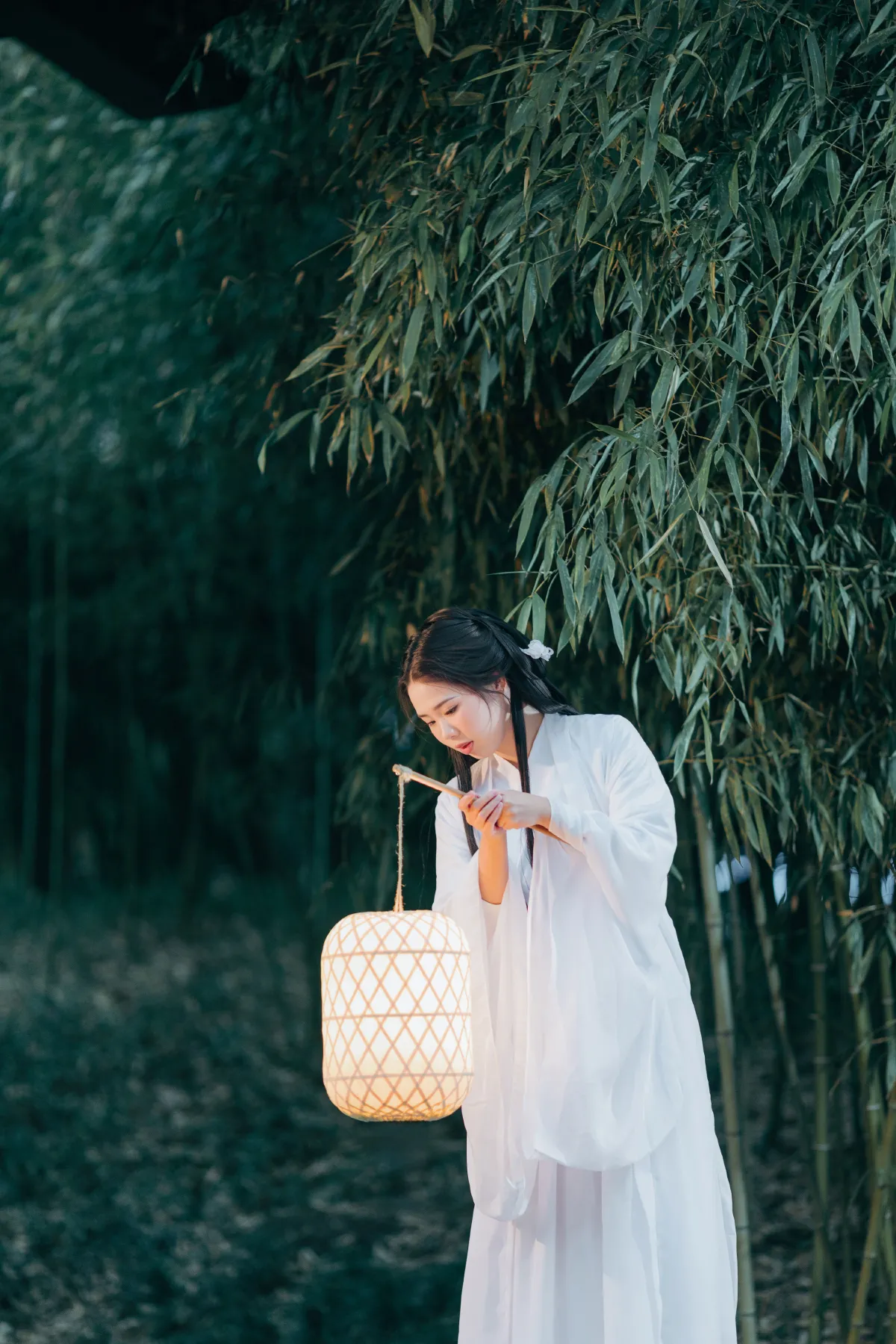 竹林夜影清冷风