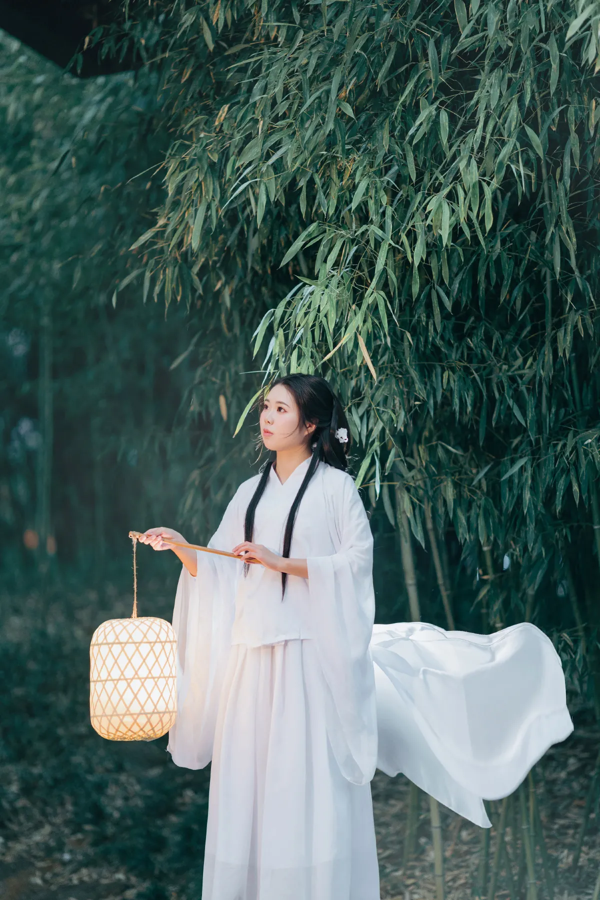 竹林夜影清冷风