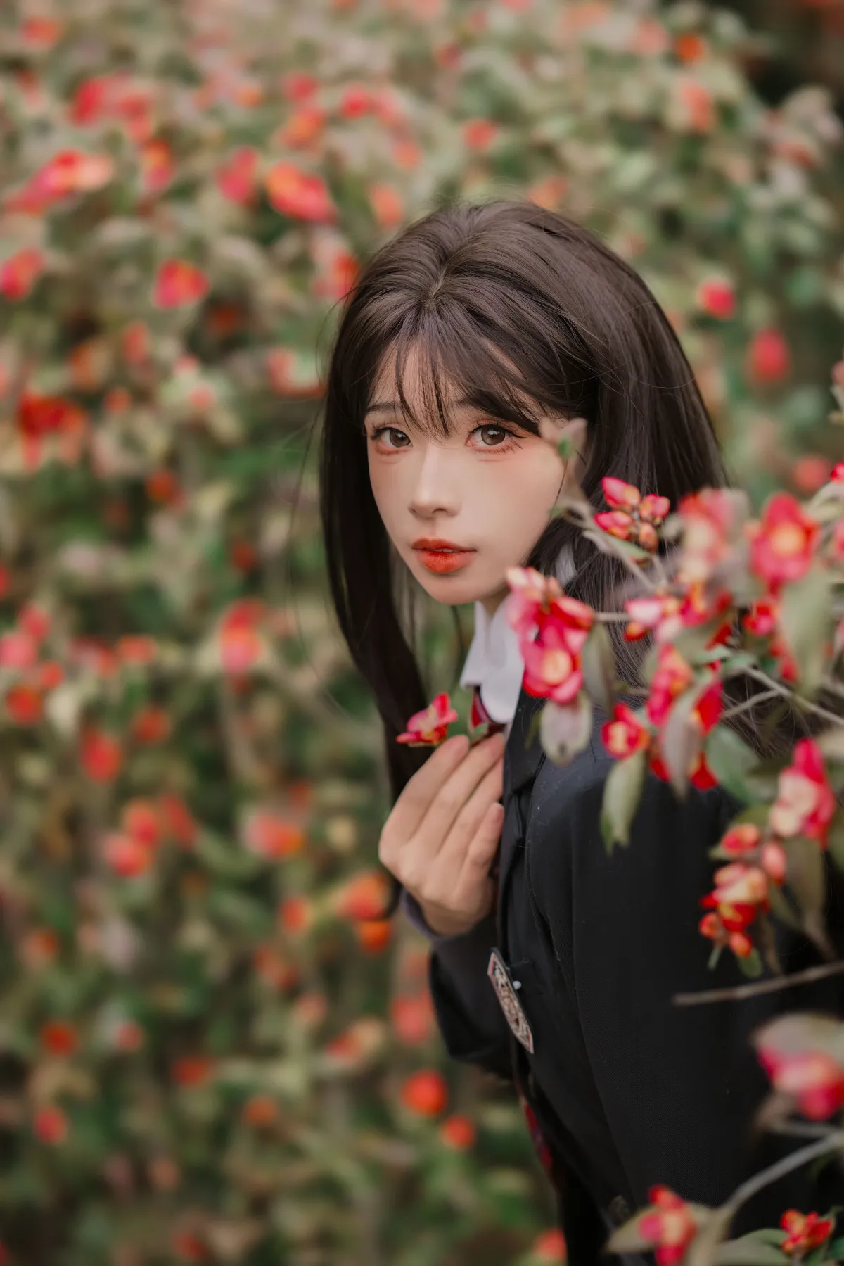 山茶花的秘密