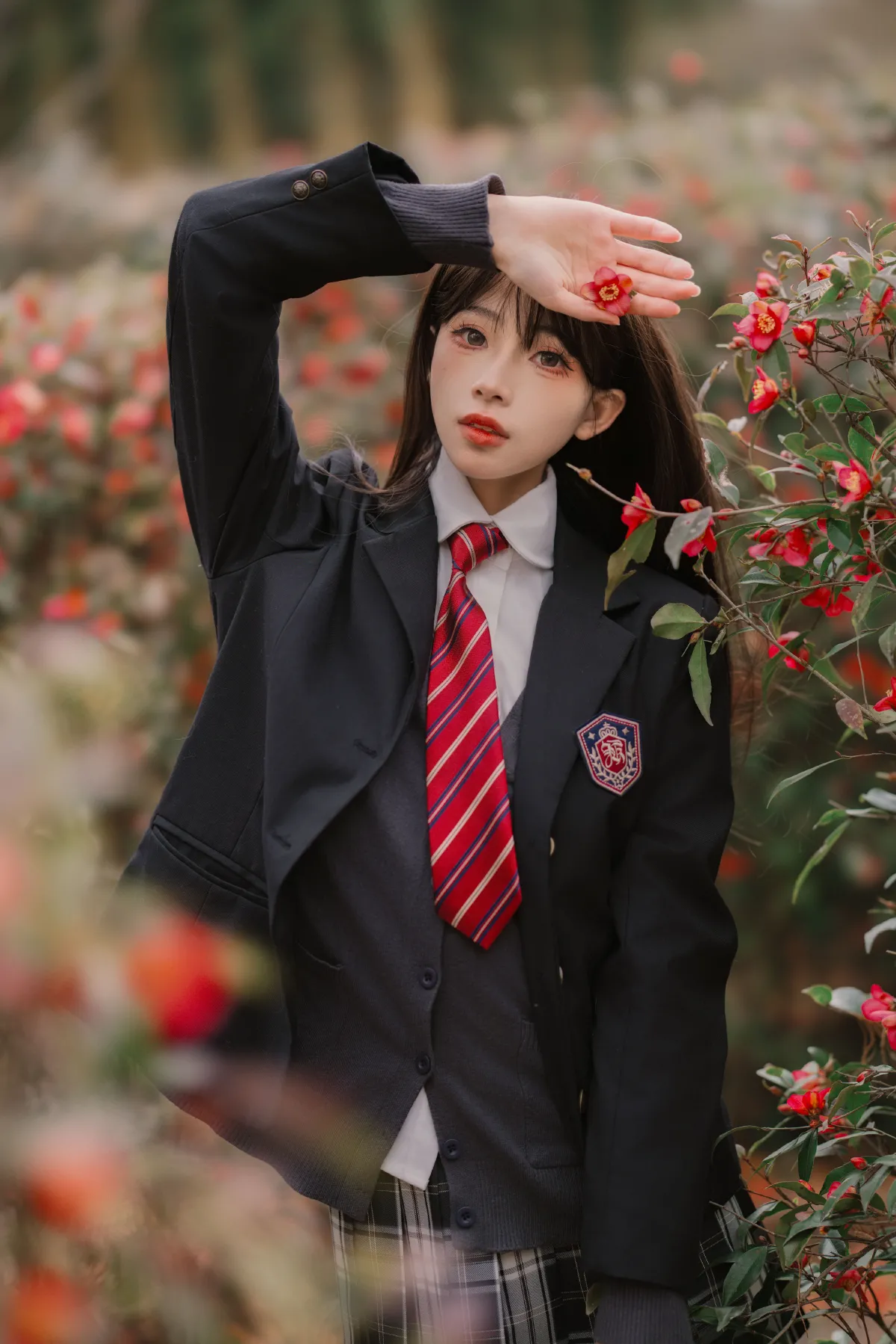 山茶花的秘密