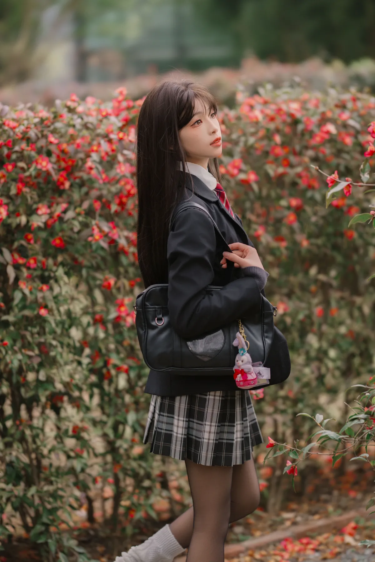 山茶花的秘密