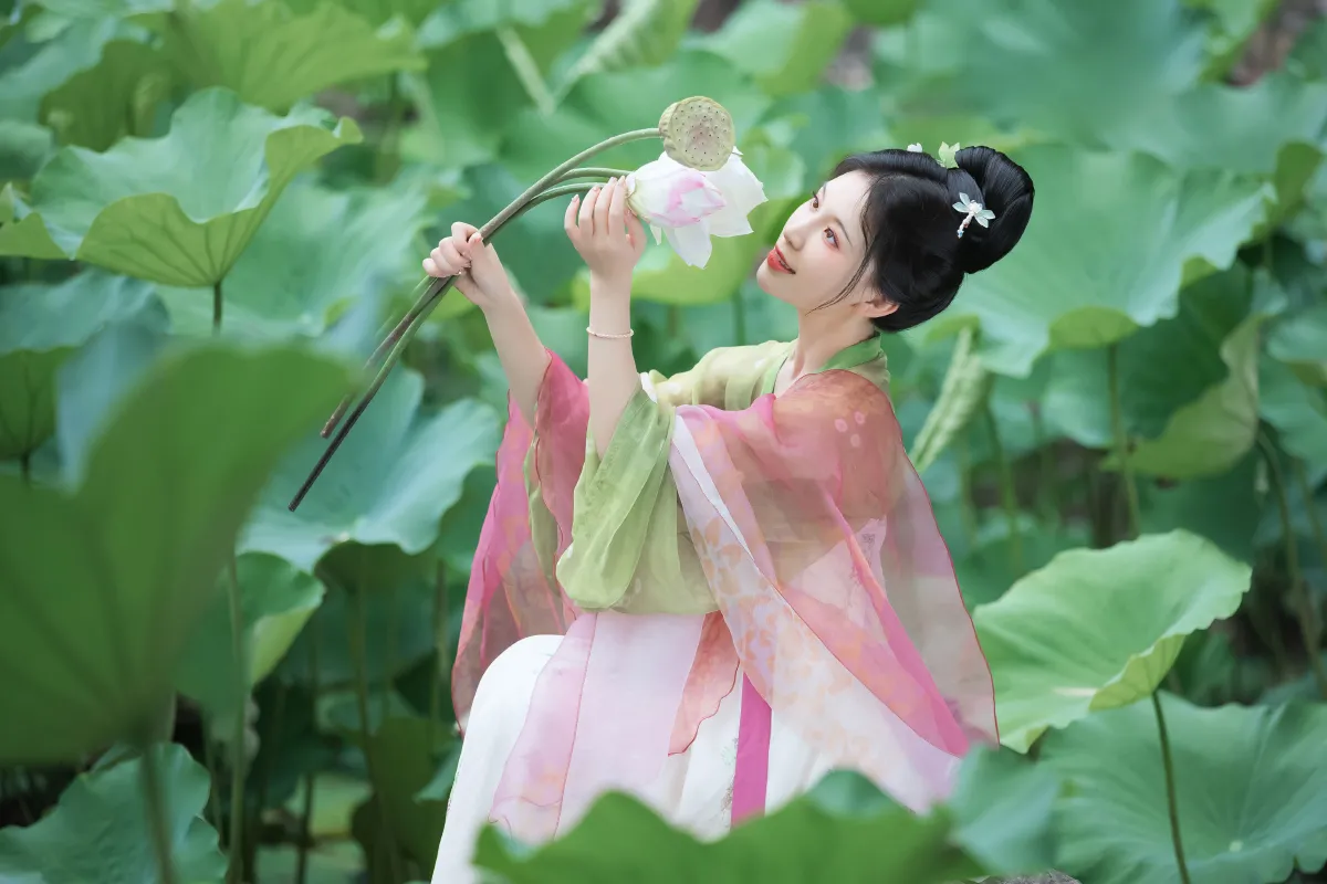 莲舟谣