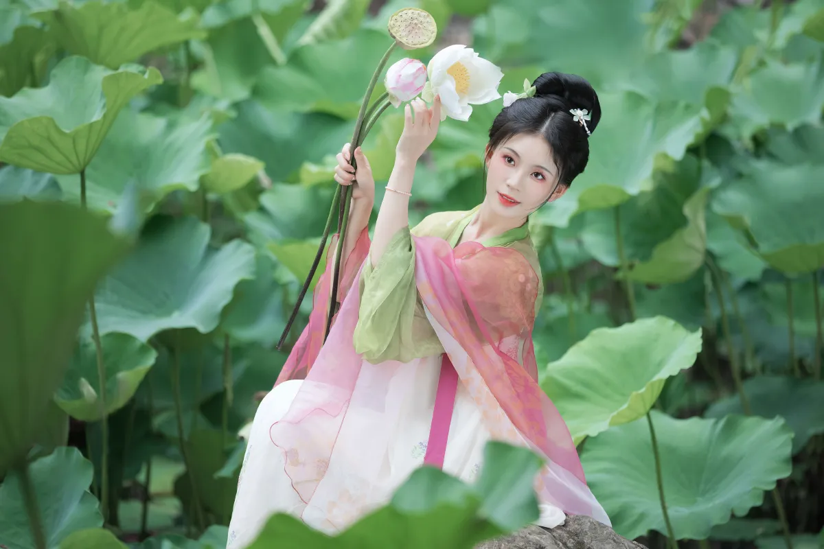 莲舟谣