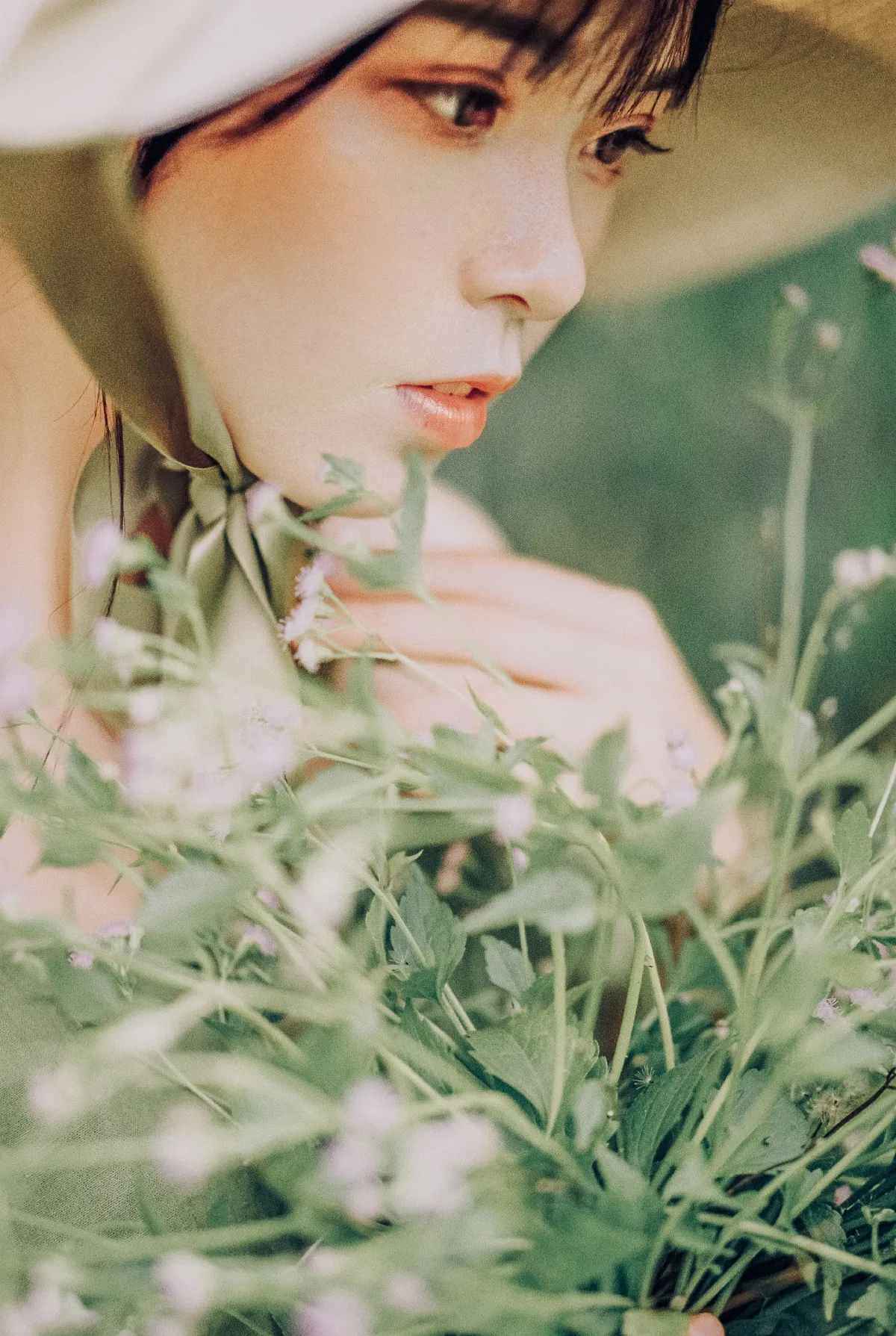 野花的季节