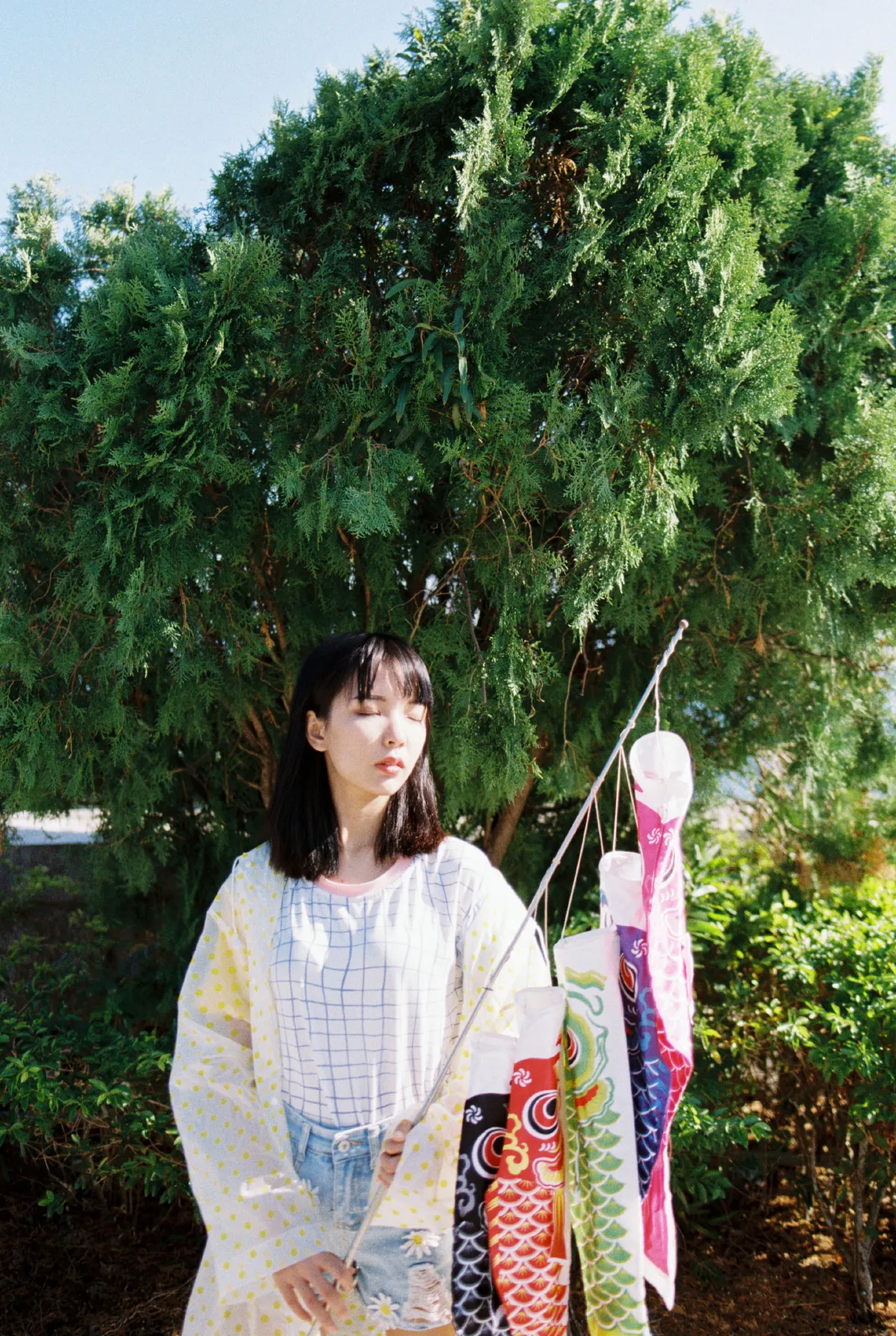 青空之鲤
