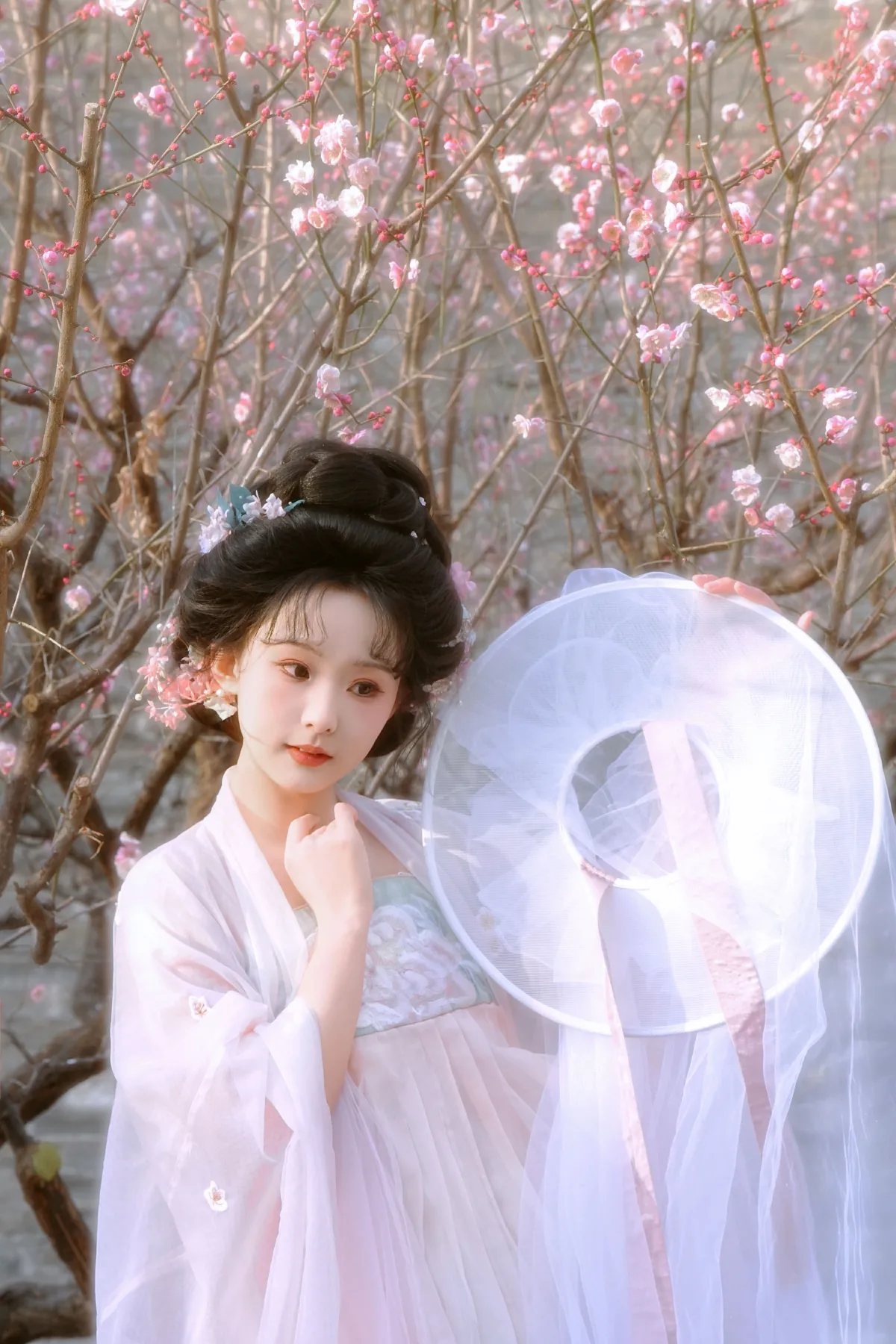 春有约，花不误