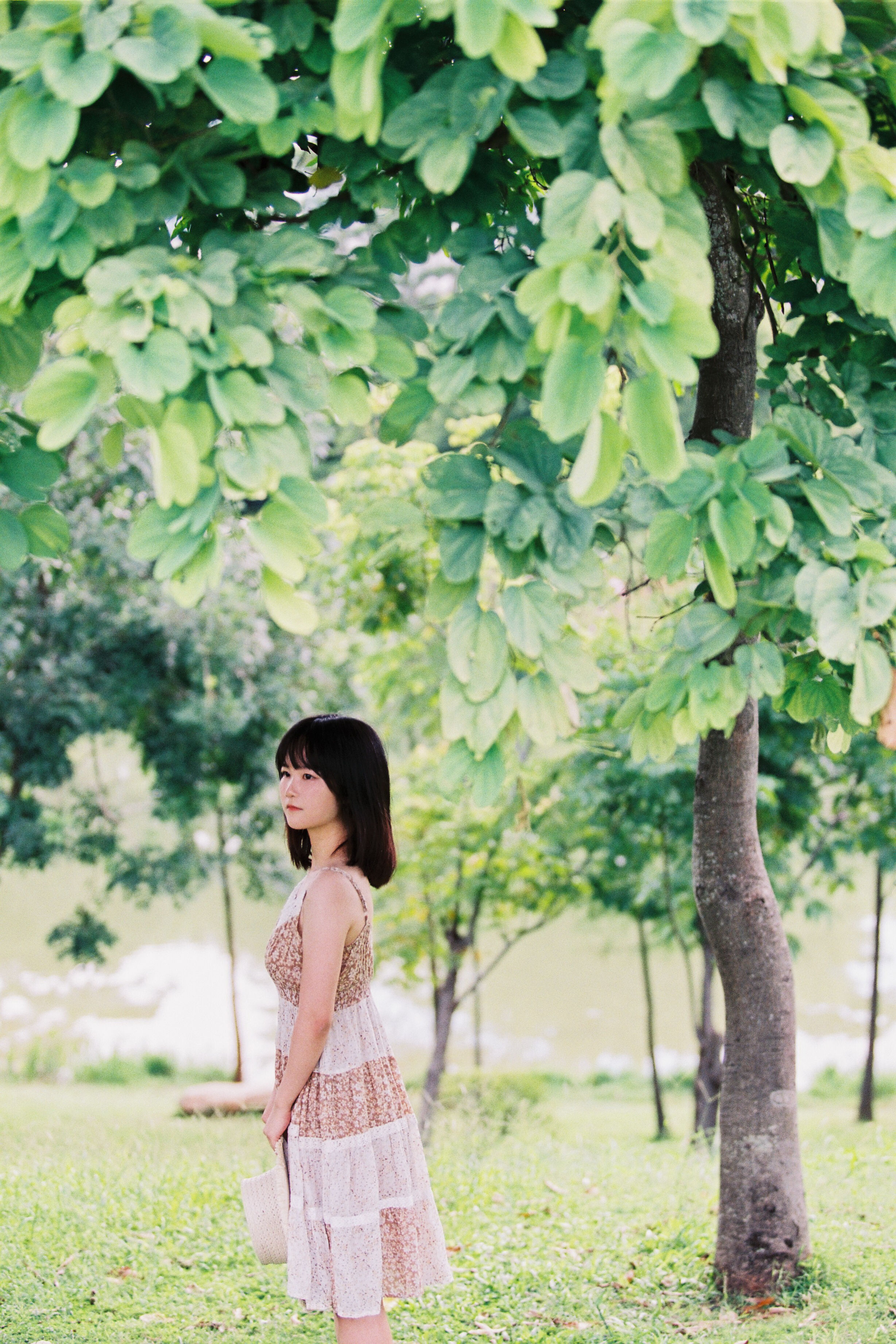 若寒Rock_四月岛雯《夏天的草地》美图作品图片1