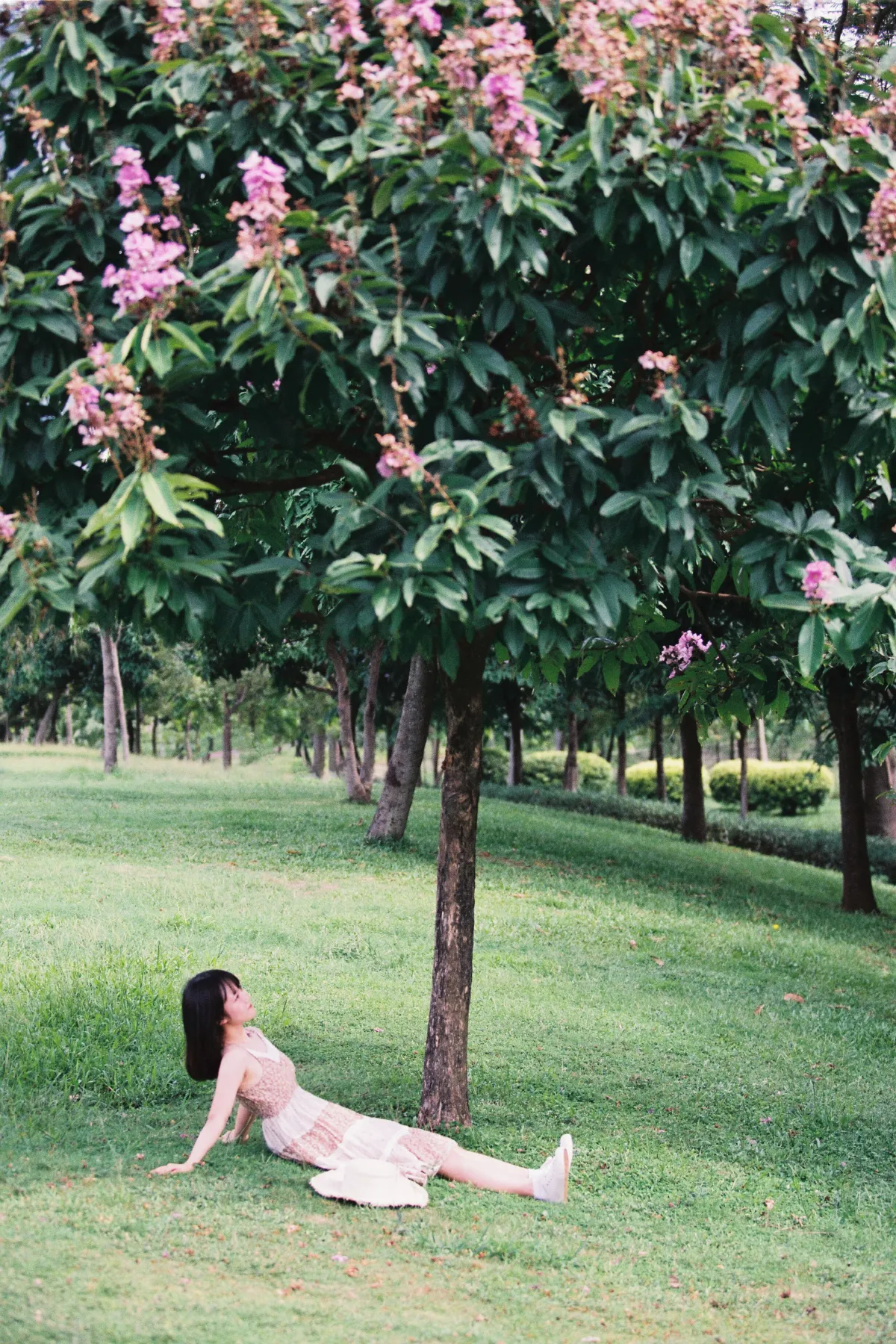若寒Rock_四月岛雯《夏天的草地》美图作品图片3