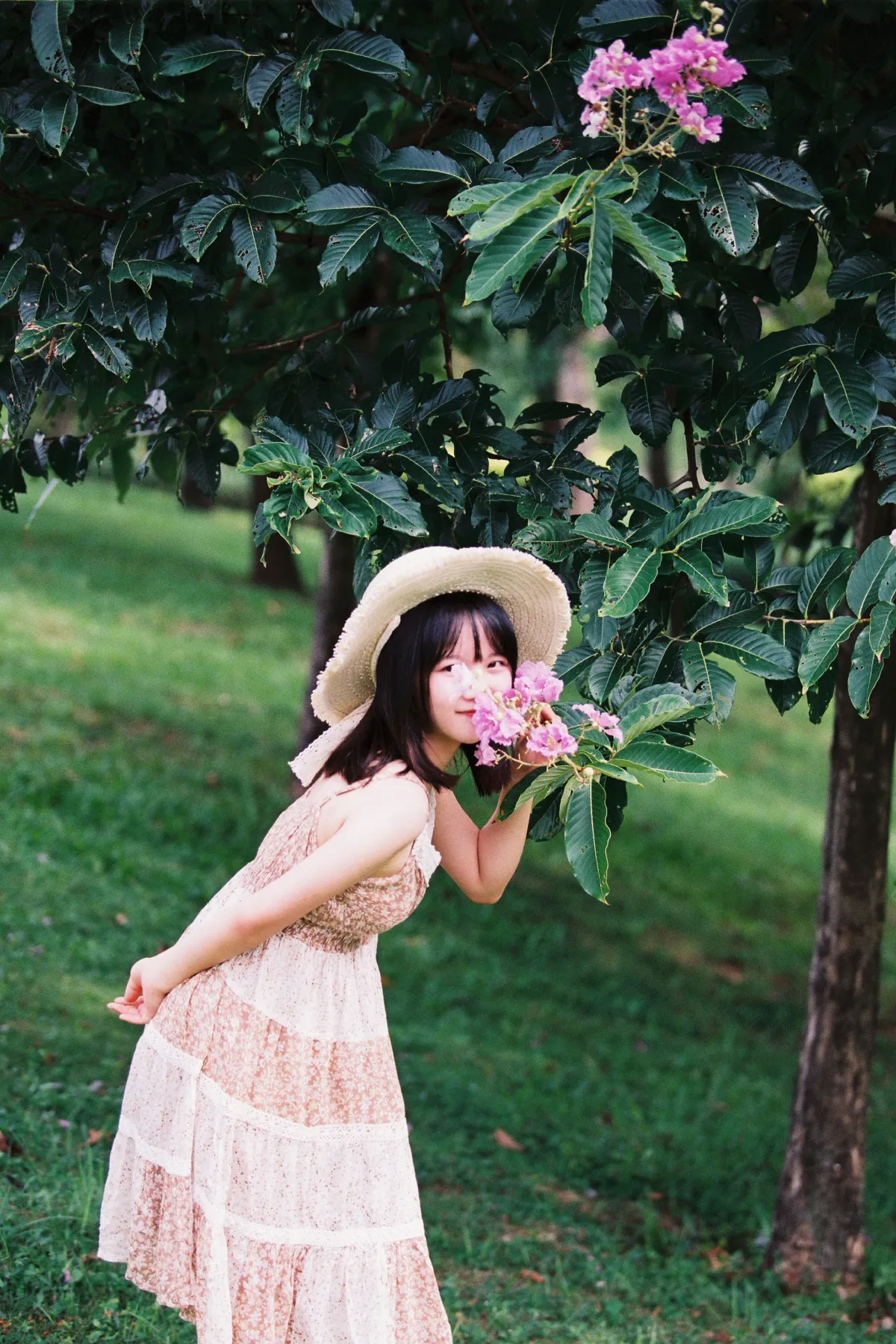夏天的草地
