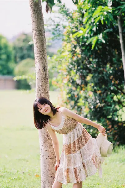 夏天的草地