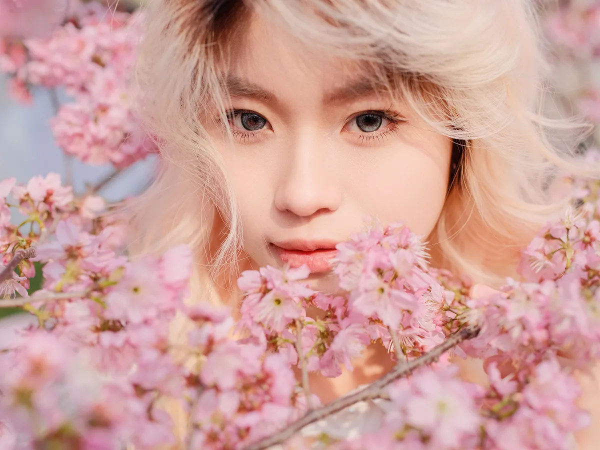 樱花树下