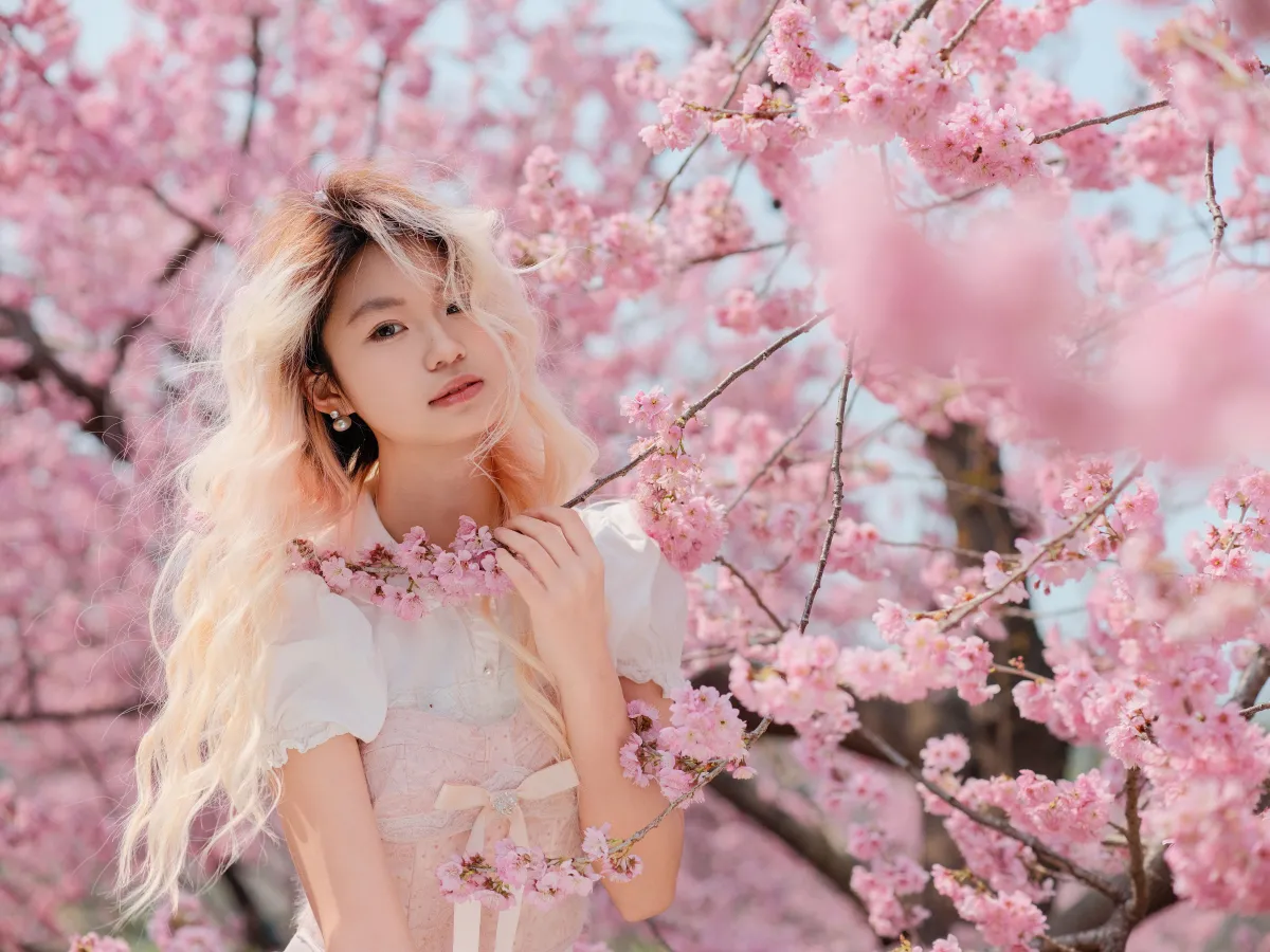 樱花树下