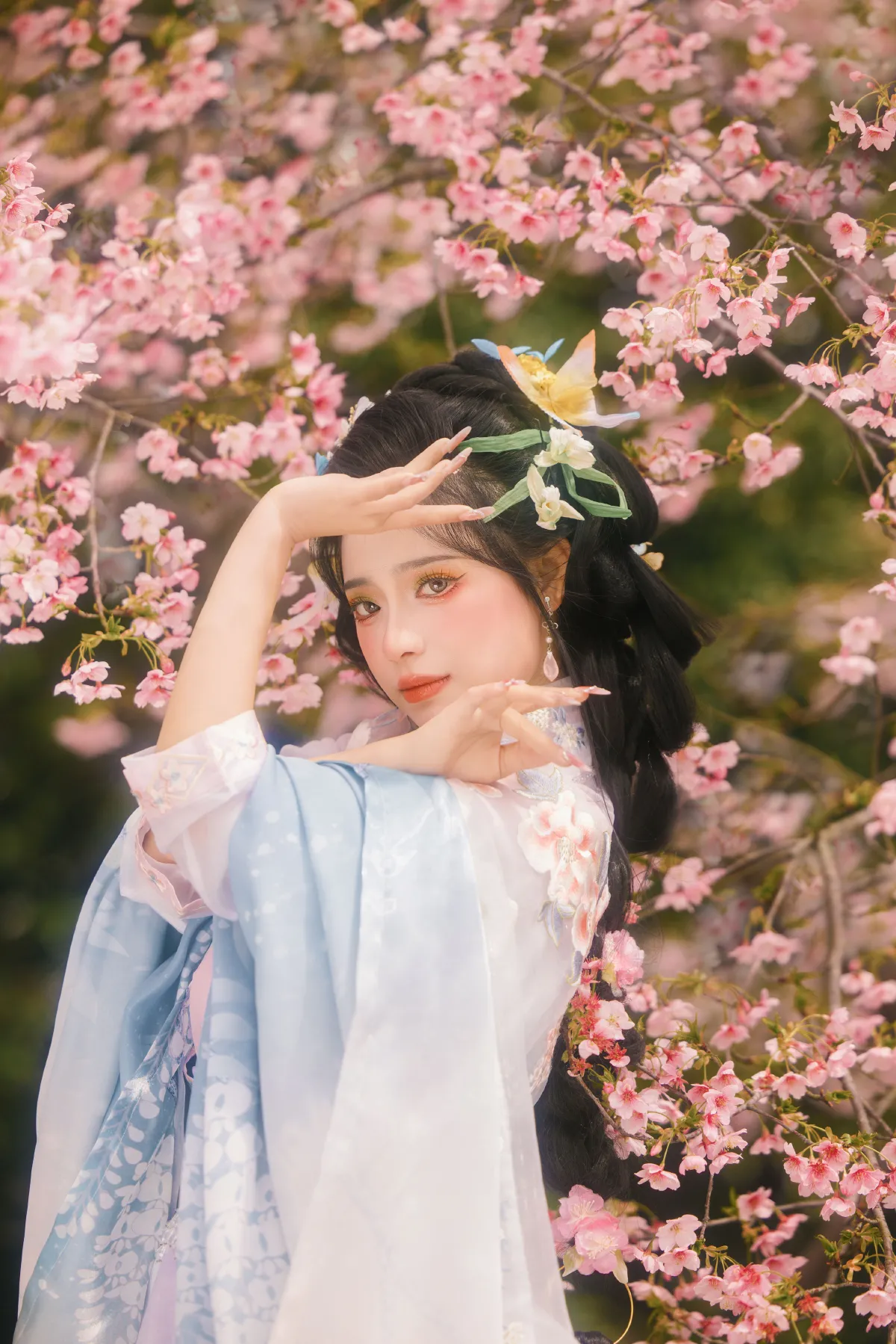 樱花雨