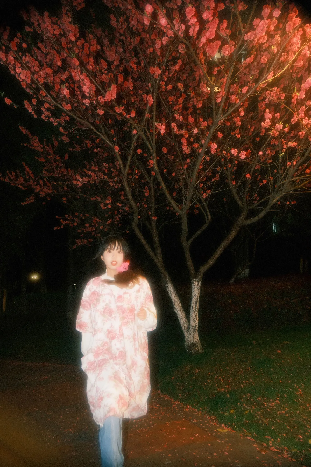 春天2