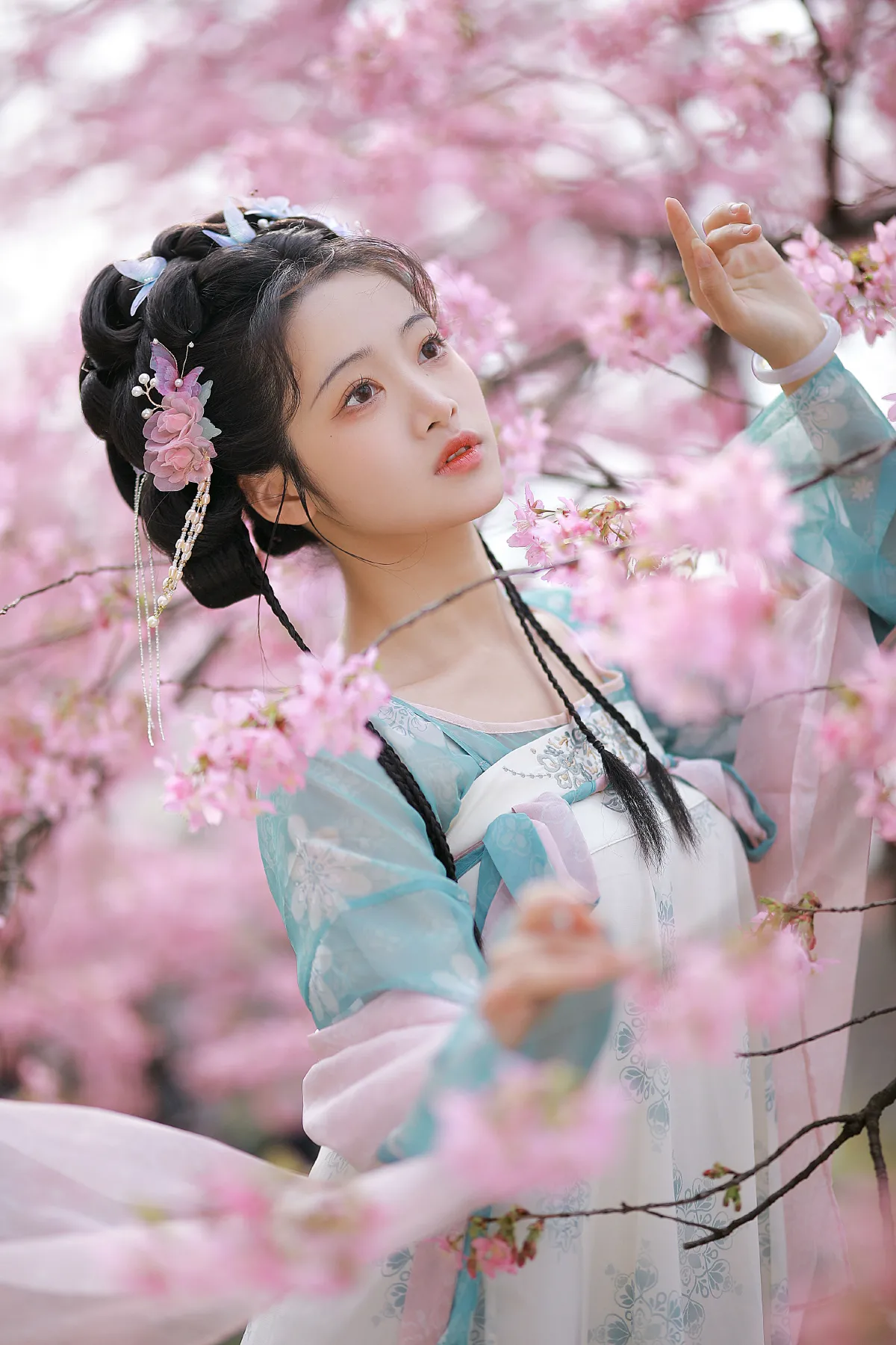 樱花少女