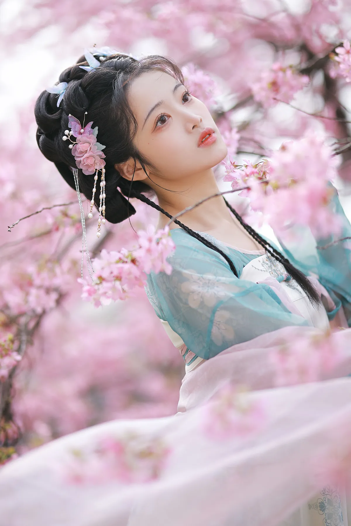 樱花少女