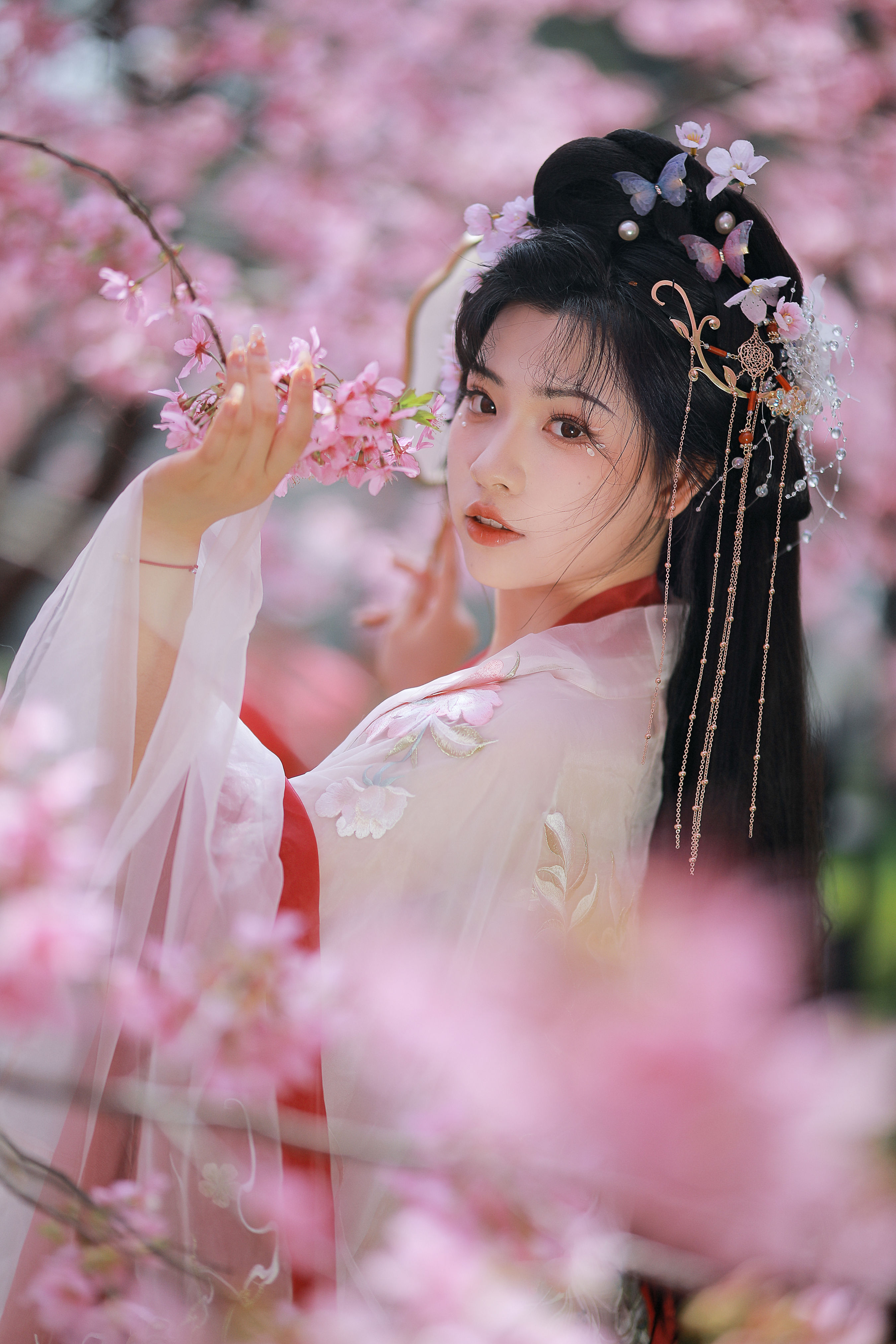 樱花仙子