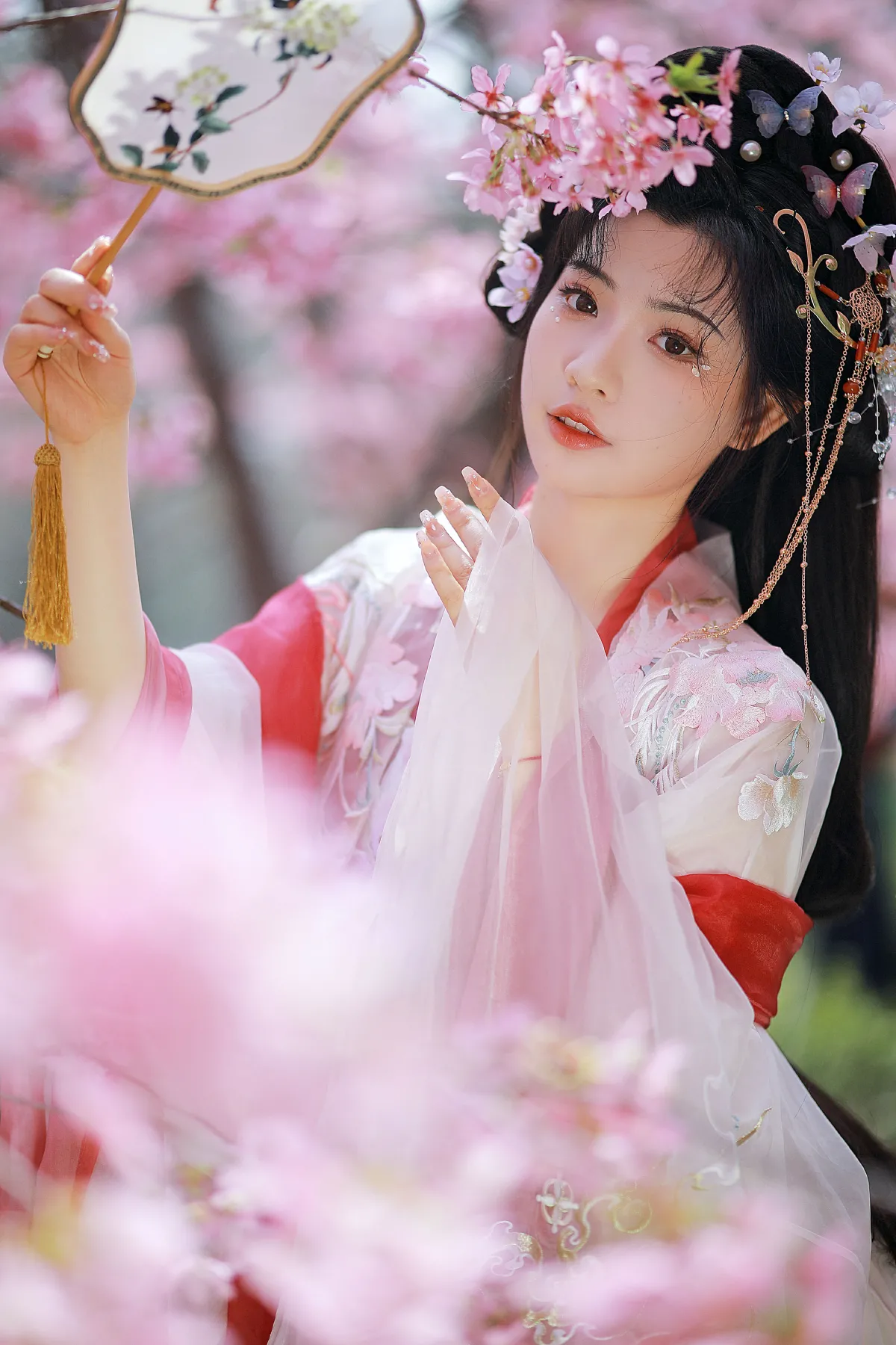 樱花仙子