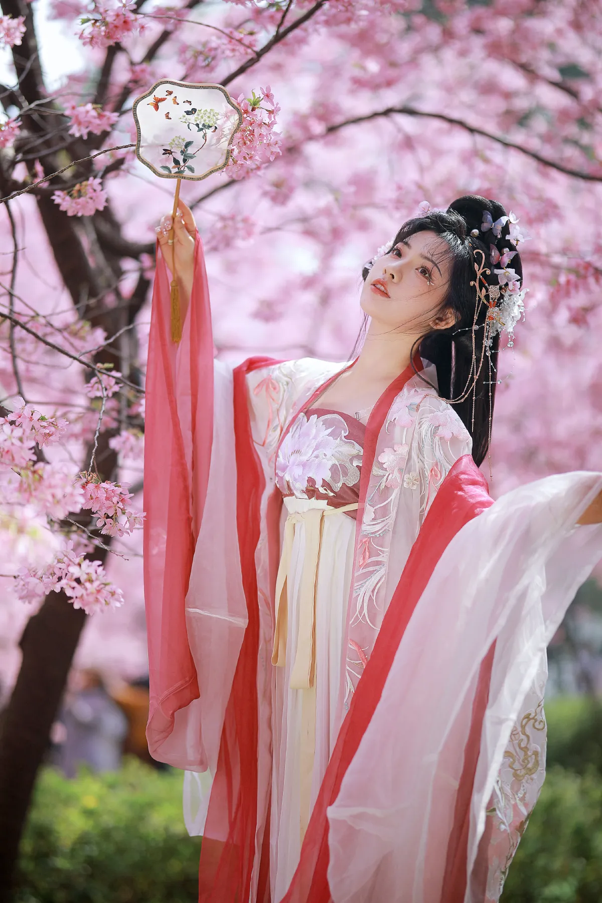 樱花仙子