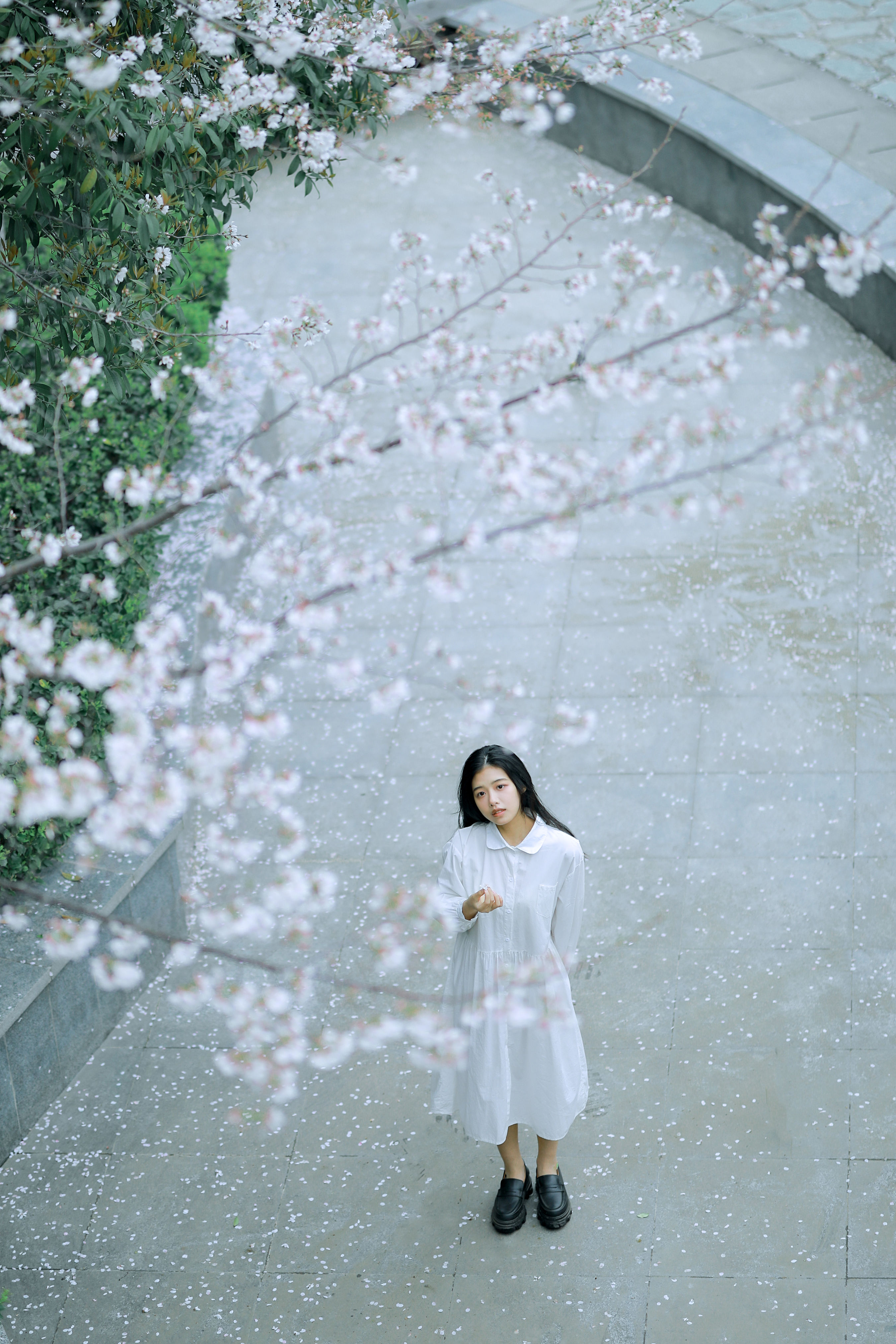 越路_龙星儿《樱花少女》美图作品图片1