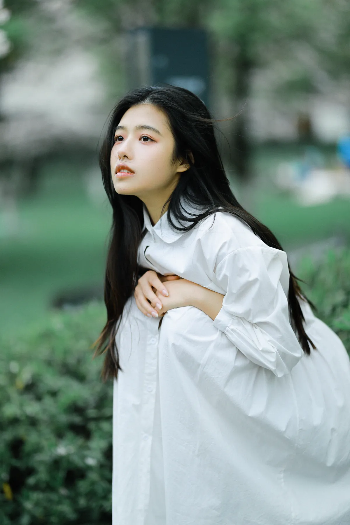 樱花少女2
