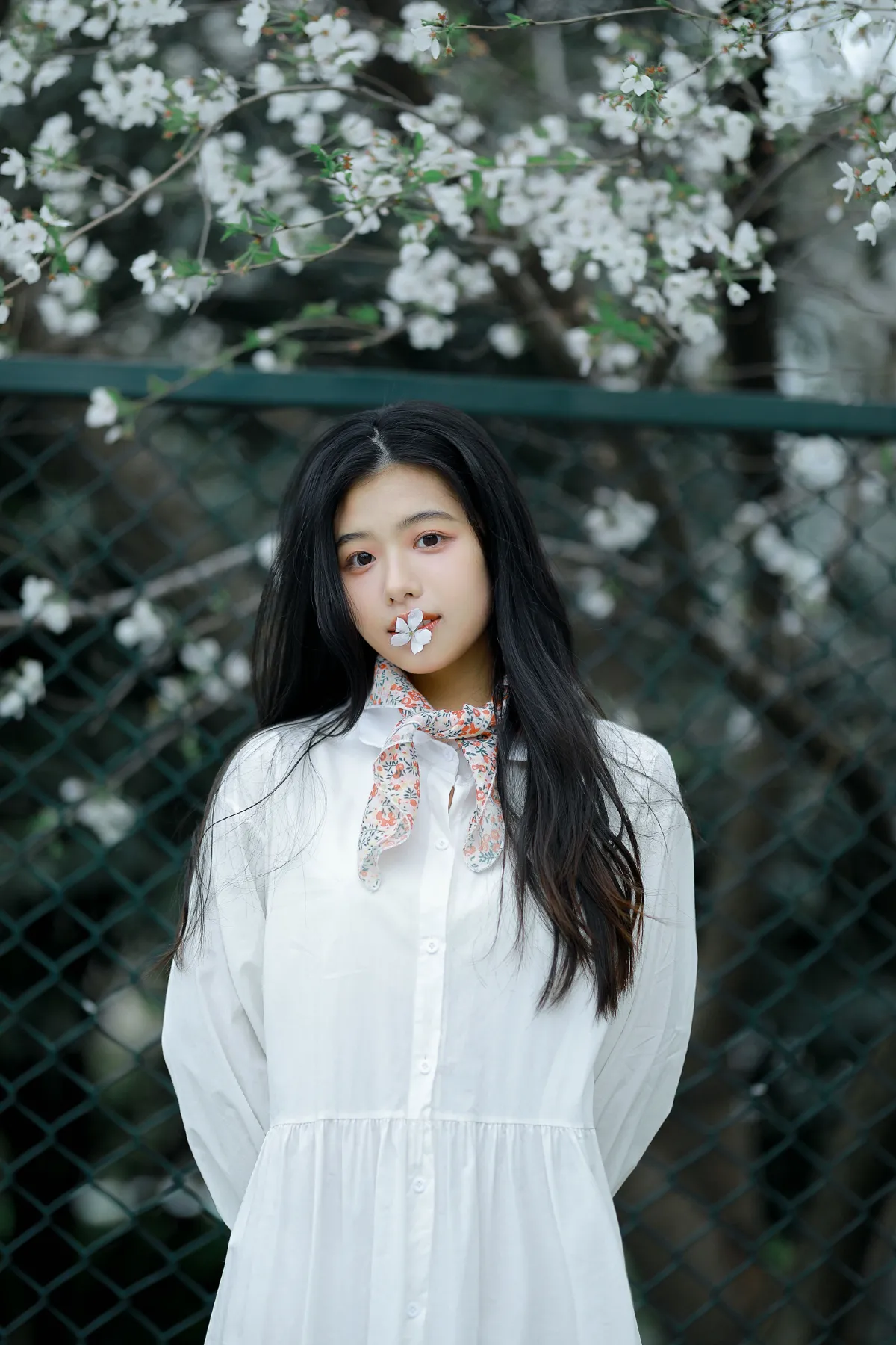 樱花少女4