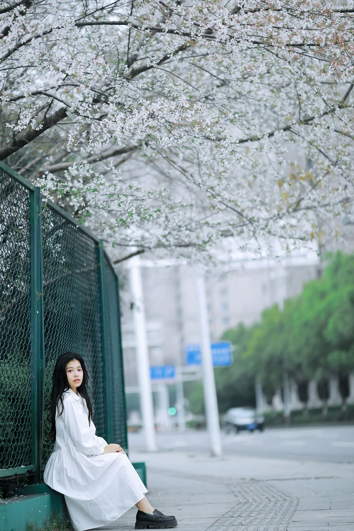 樱花少女5