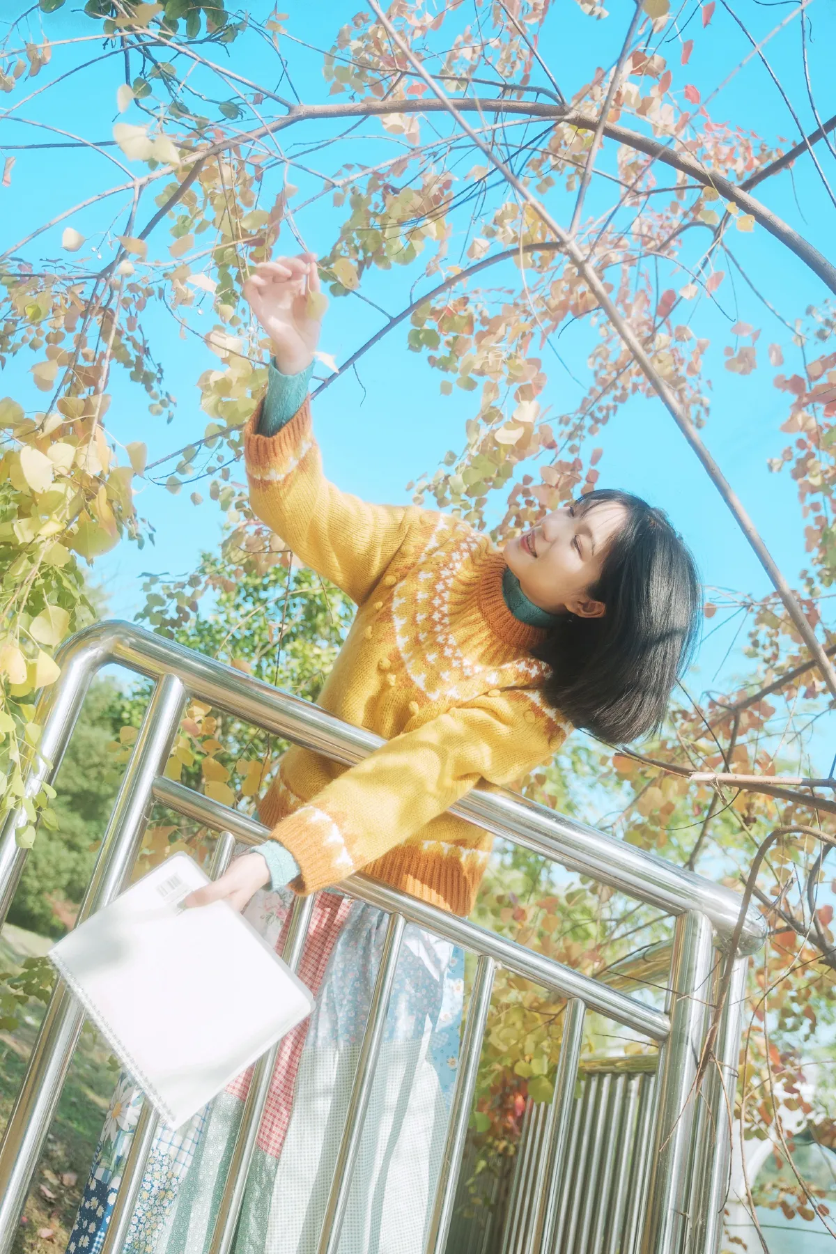 秋不语