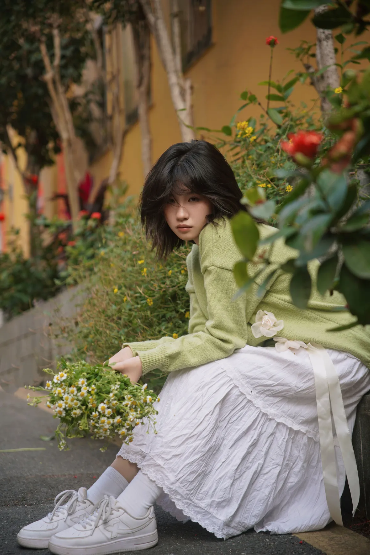 小雏菊少女1