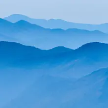 笨笨