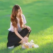 八月树
