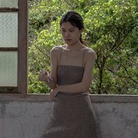 甜菜