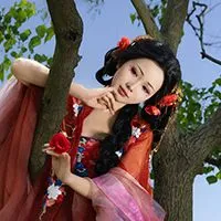 羊羊