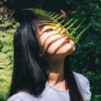 林镜尘