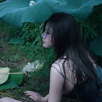 泽书