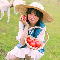 八笔