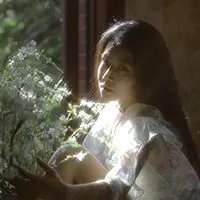 枢木