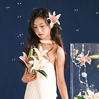鲨鱼牙
