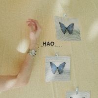 摄影师Hao