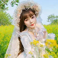 六六