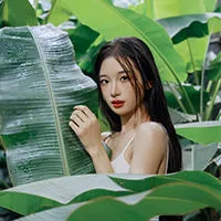 蝴蝶
