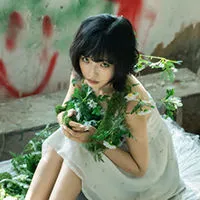 鱼羊鲜鲜