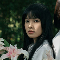 一棵苹果树