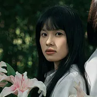 一棵苹果树