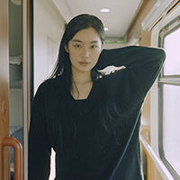 宝木桐
