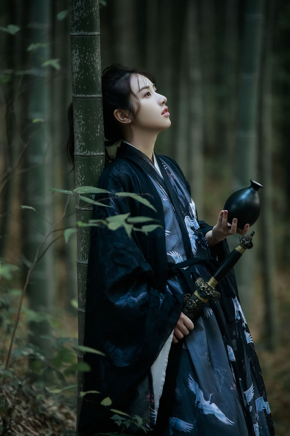 逍遥游