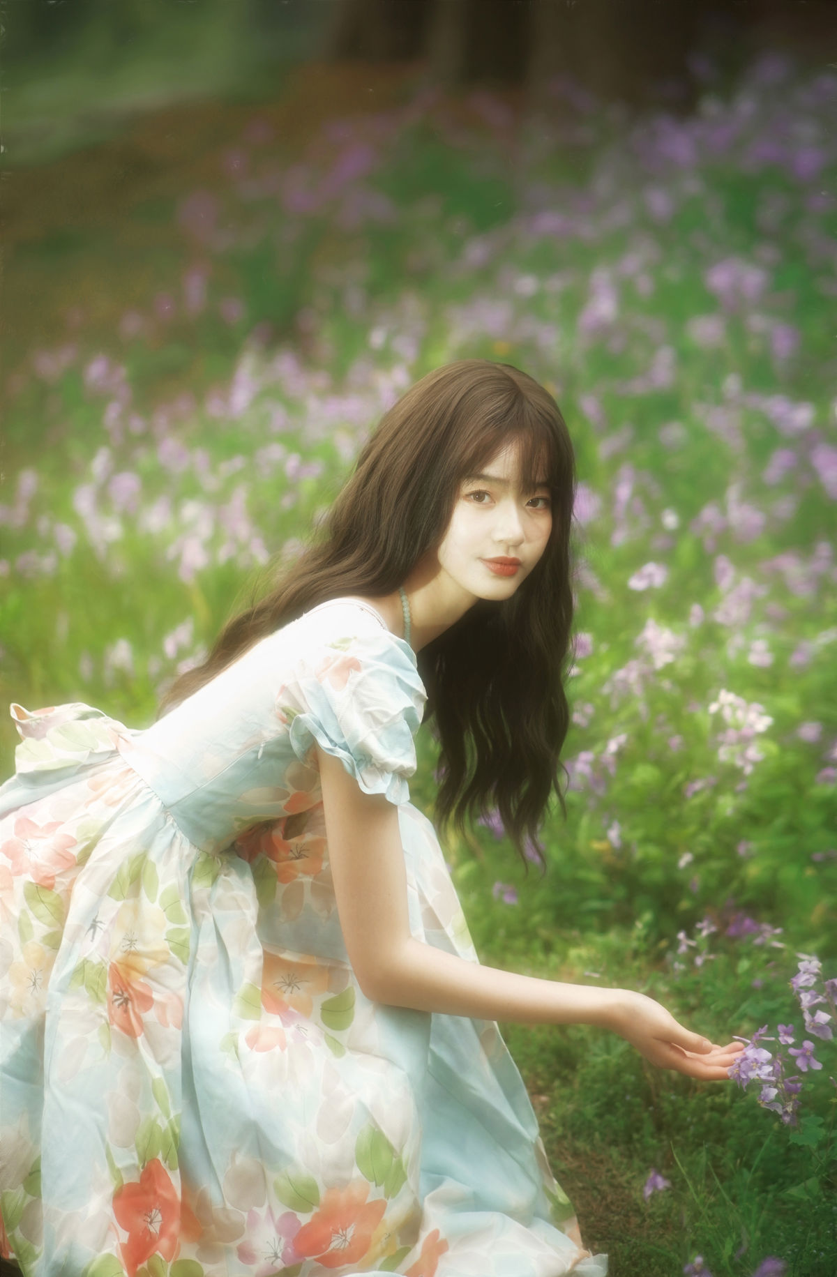 绿野仙踪